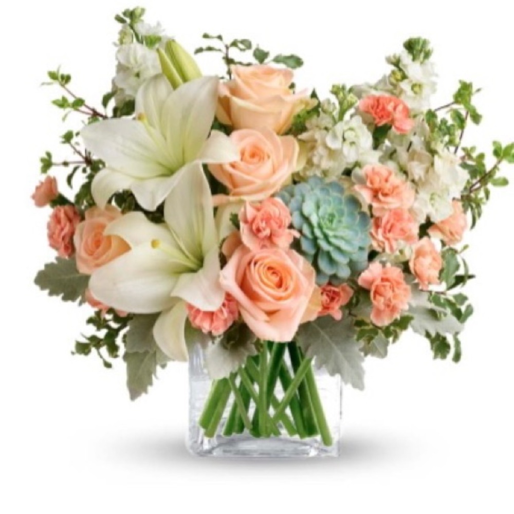 Meet your Posher, Dawn